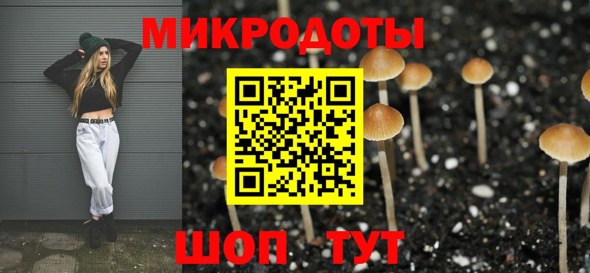 купить   Галлюциногенные грибы прущие грибы  Вход с VPN  Ефремов 